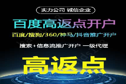 电商平台信息流广告的创意与执行案例分析
